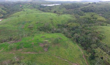 Aerolevantamento com drone