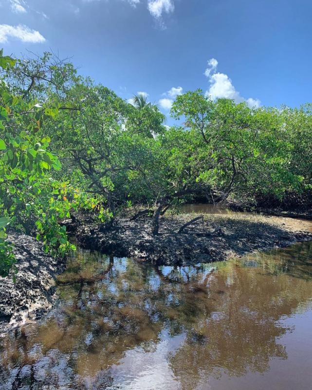 empresa de assessoria ambiental