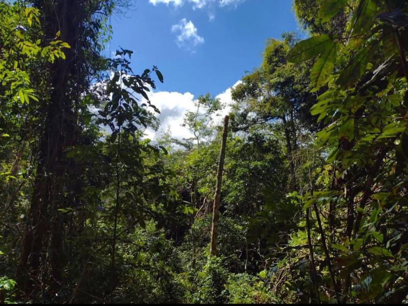 Empresa de gestão ambiental