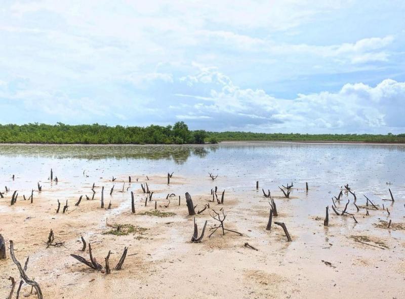 Gestão ambiental projeto e consultoria