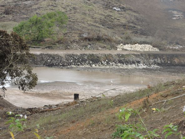 Laudo de avaliação ambiental