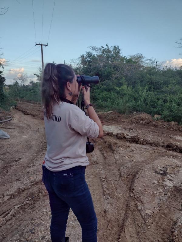 Laudo de vistoria técnica ambiental