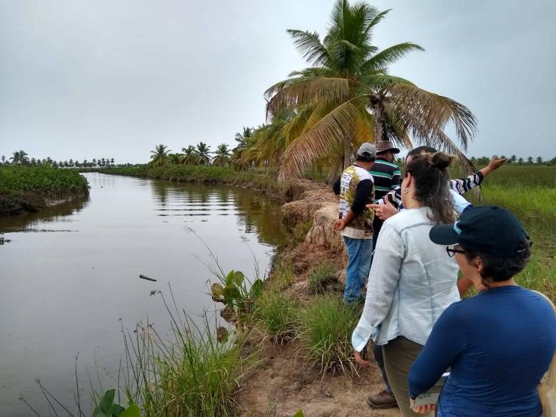 Licenciamento ambiental carcinicultura