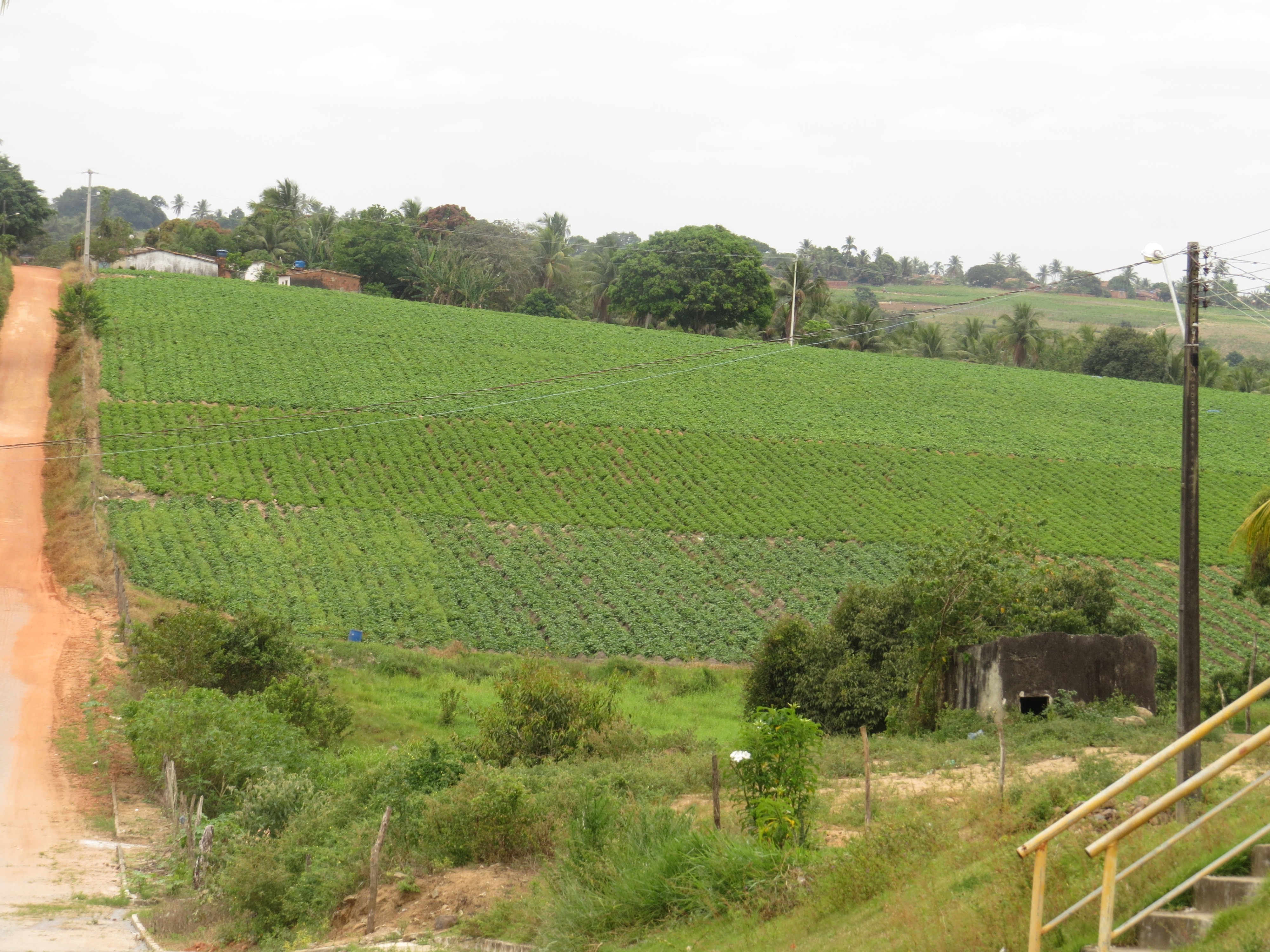 Agricultura Precisão