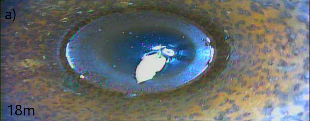 Imagens
