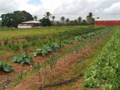 Agricultura de Precisão