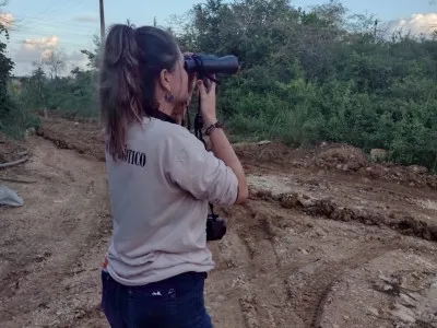 Ambiental