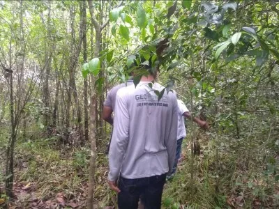 Ambiental